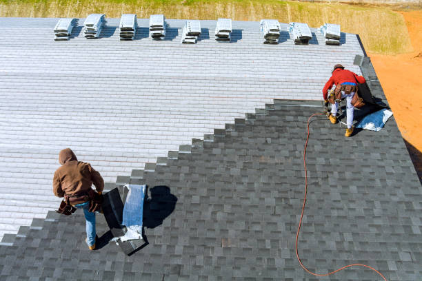 Best Flat Roof Repair Services  in Romeovle, IL