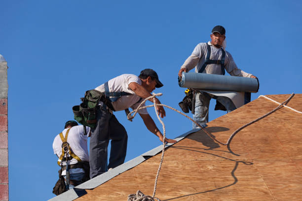 Best Roof Restoration Services  in Romeovle, IL