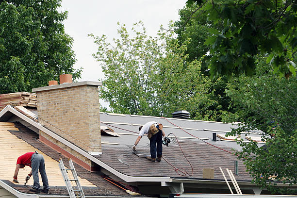 Best New Roof Installation  in Romeovle, IL