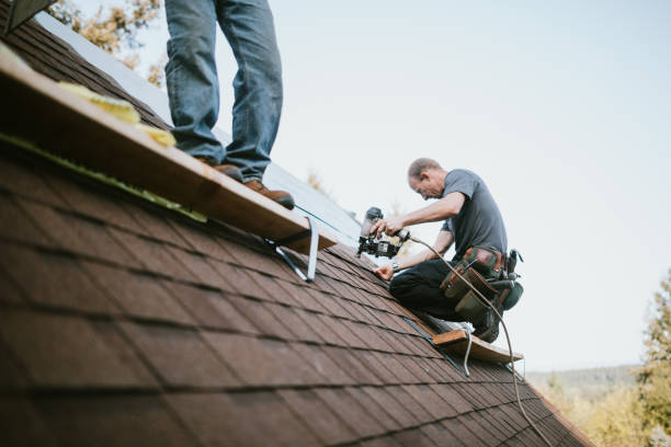 Best New Roof Installation  in Romeovle, IL